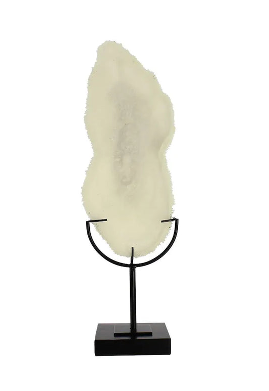 Coral on foot - Black metal gloss