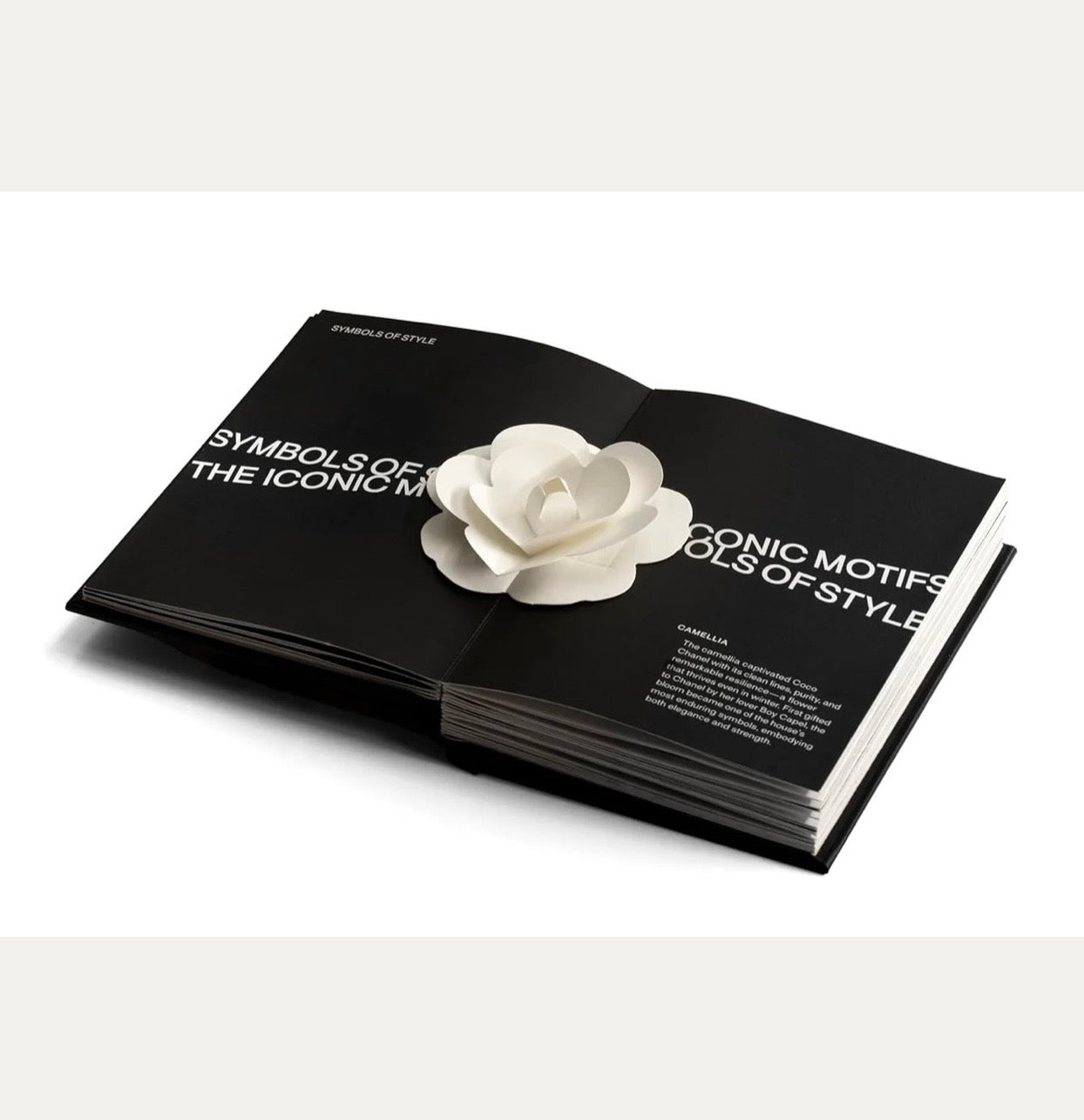 Fashion Unfolded - Pop-Up Chanel